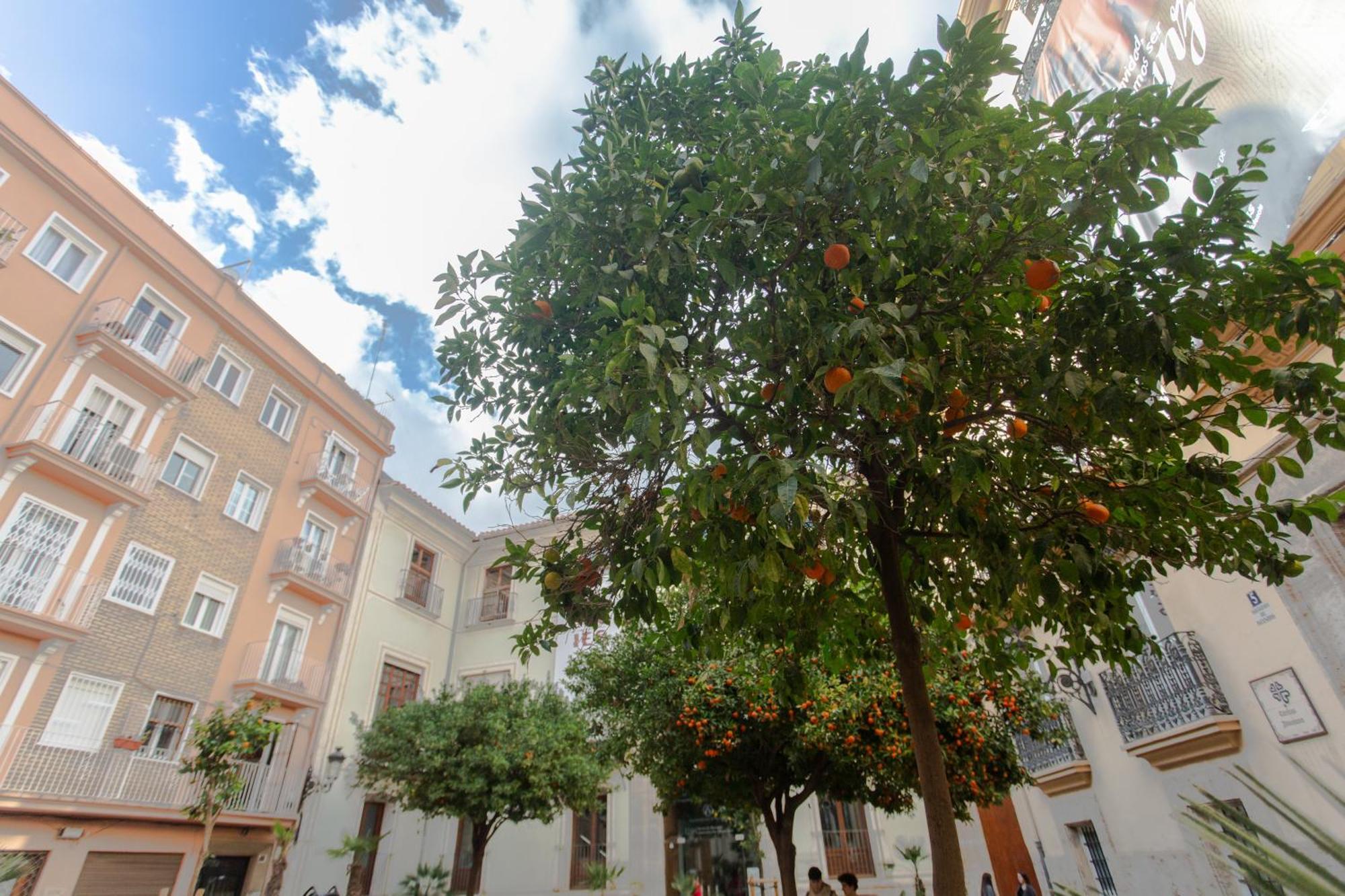 Vlc - Tranquilo Apartamento En Plaza Cisneros Valencia Eksteriør billede