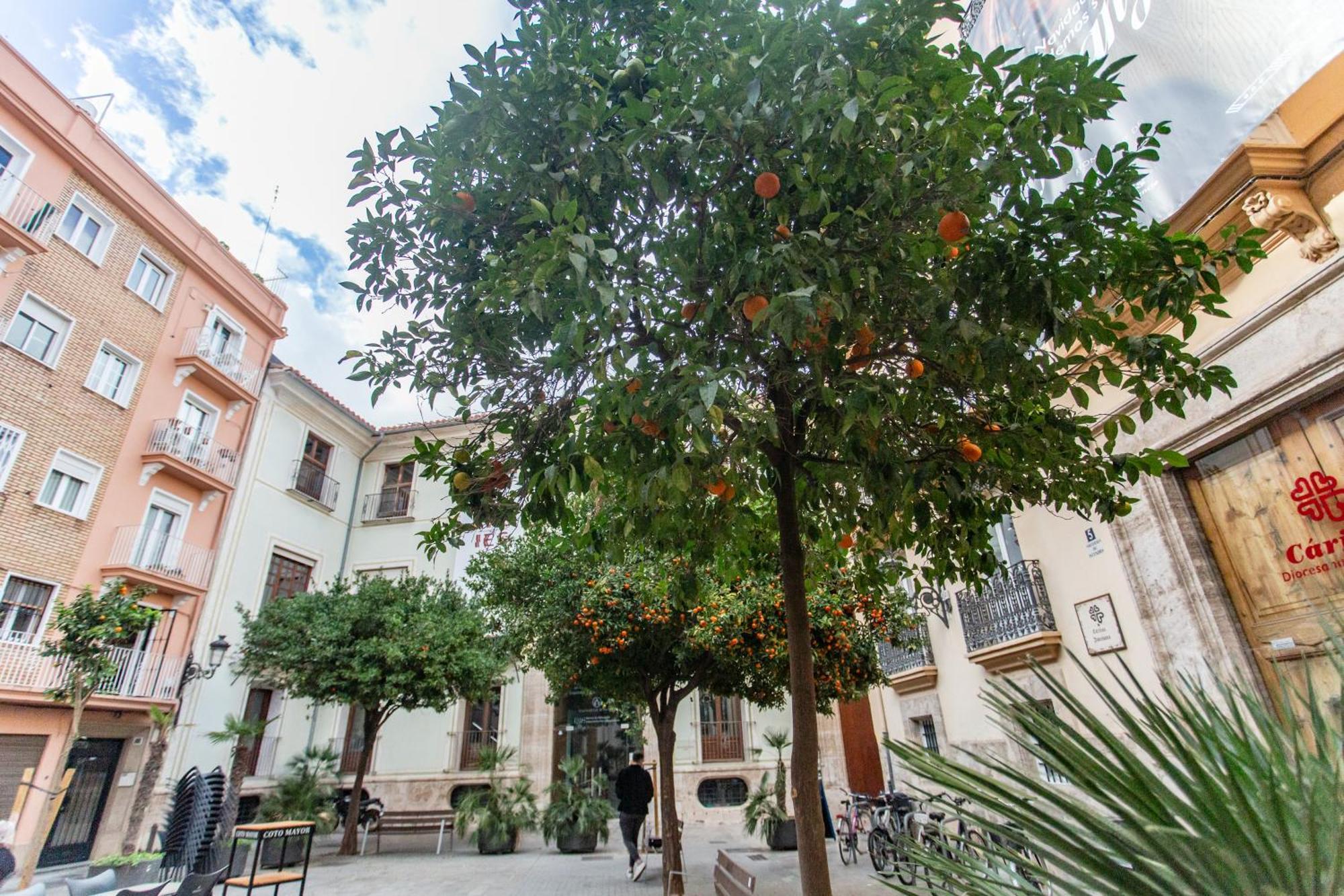 Vlc - Tranquilo Apartamento En Plaza Cisneros Valencia Eksteriør billede